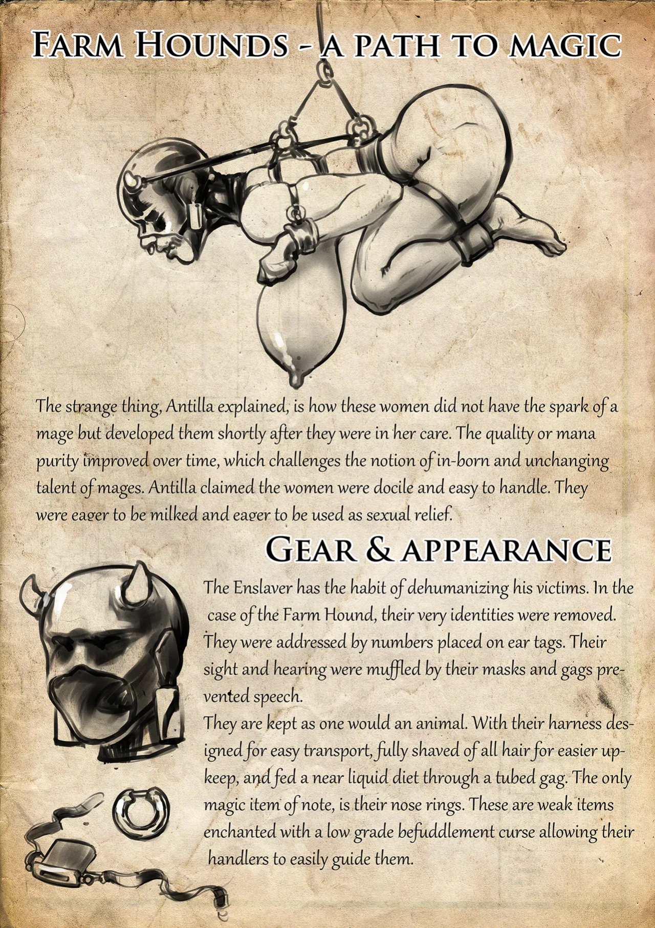 [Groz] Necromancer: A Warden Prequel