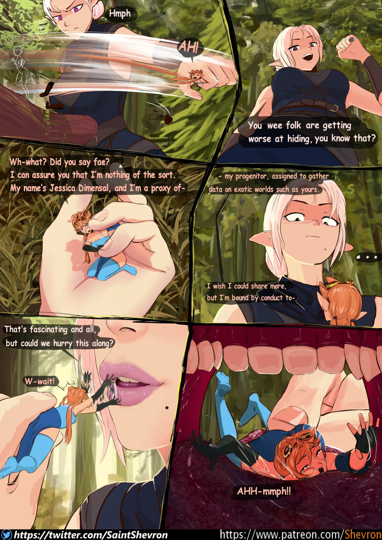 [Shevron] Trail Mix-Up