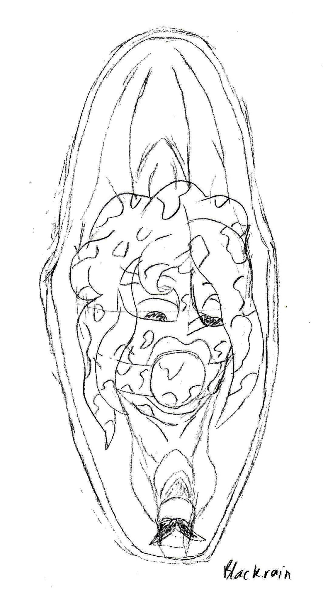 Blackrain Sketches 01