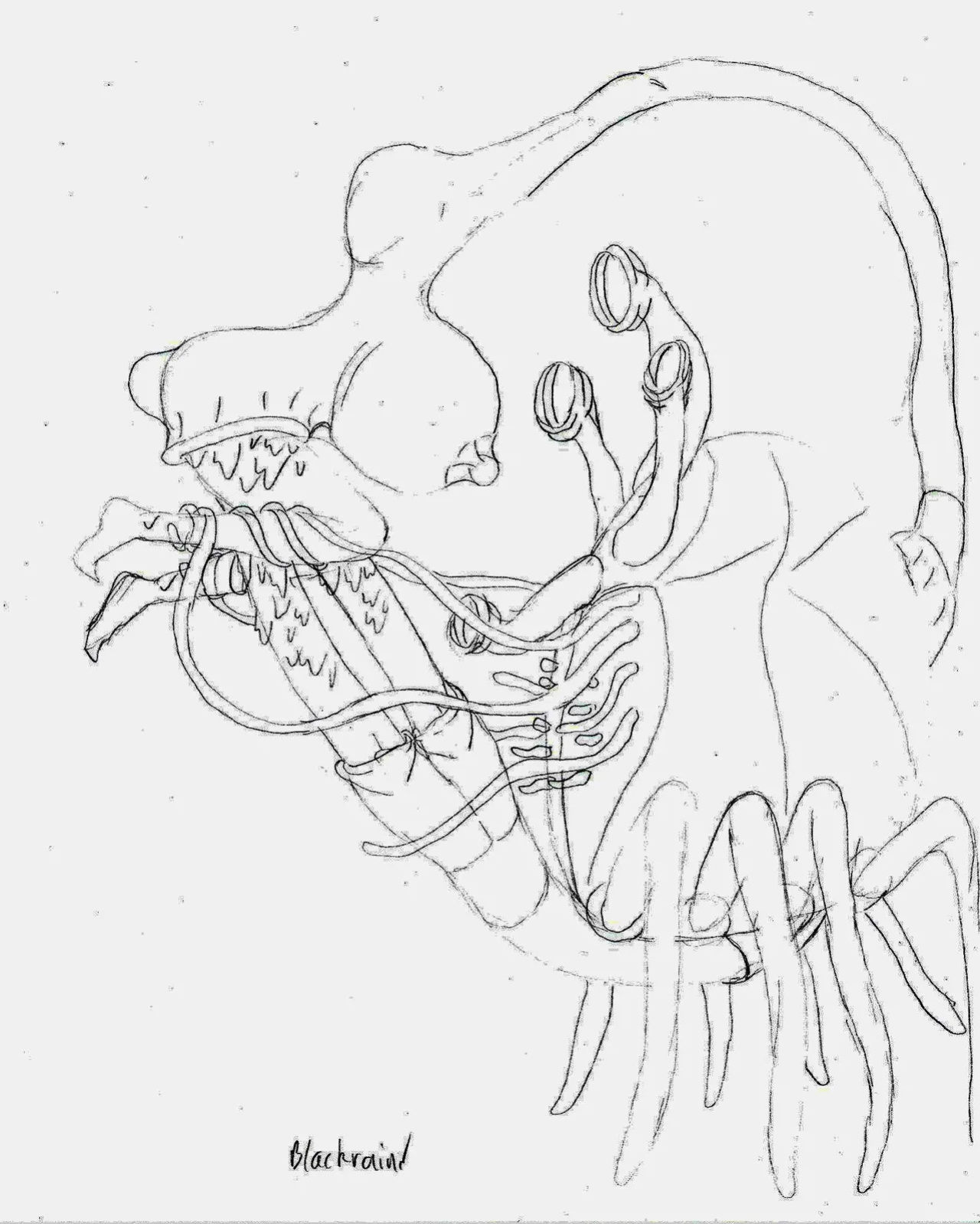 Blackrain Sketches 01