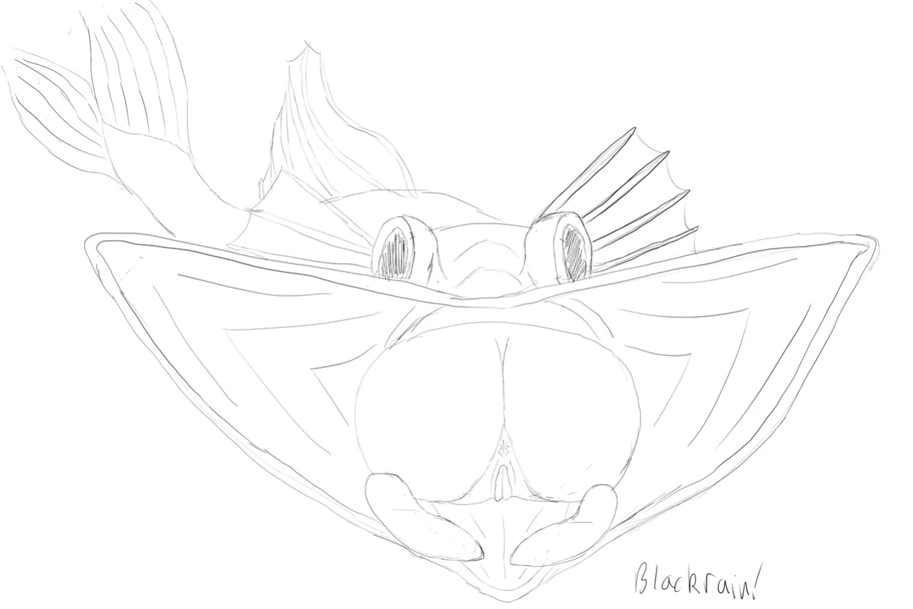 Blackrain Sketches 01