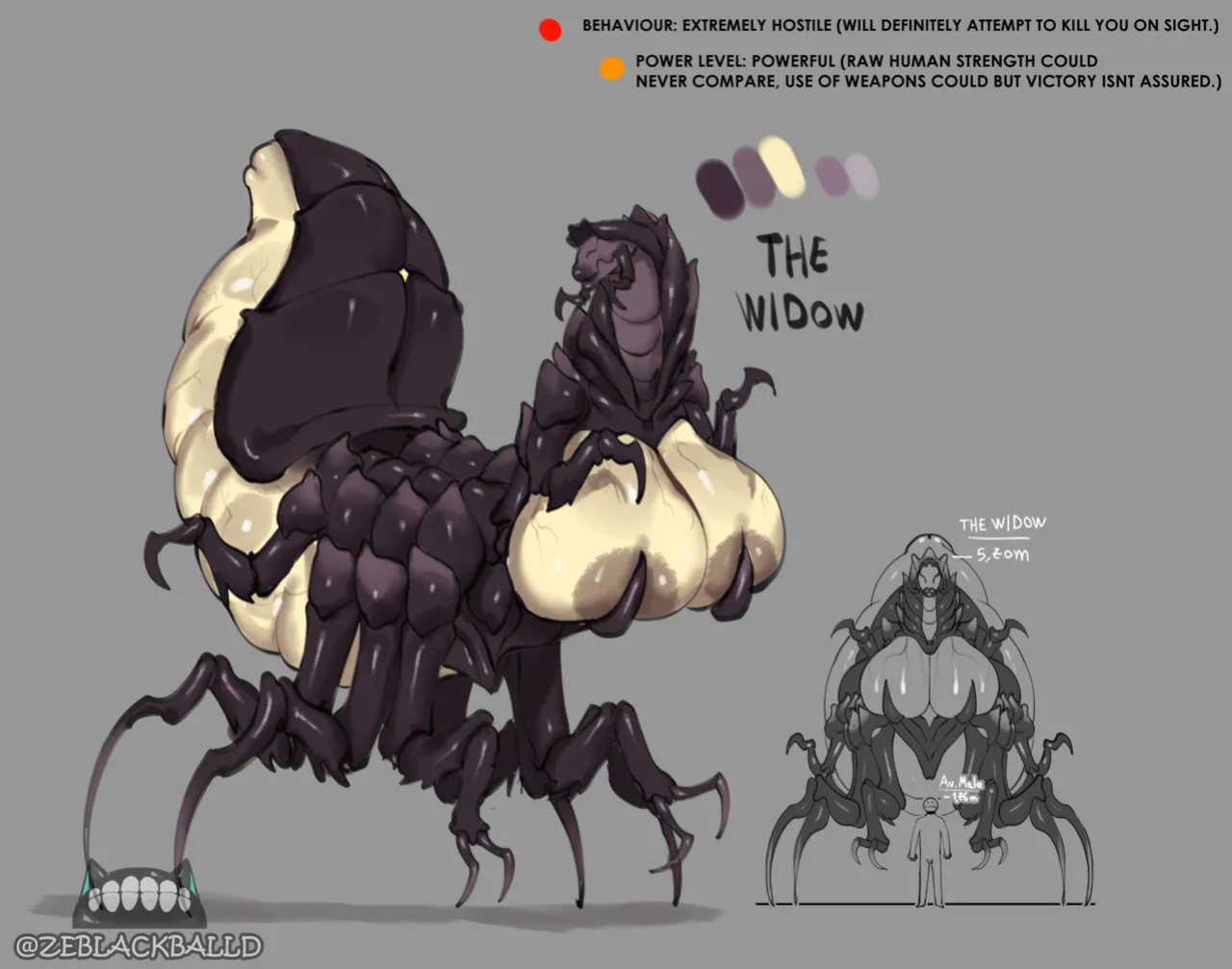 [ZeBlackBallD] THE WIDOW