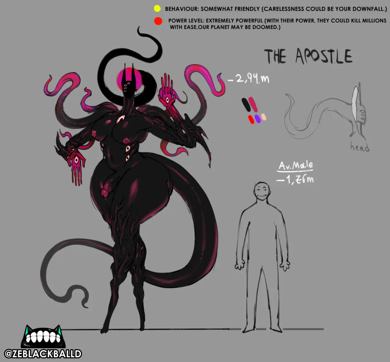 [ZeBlackBallD] THE APOSTLE