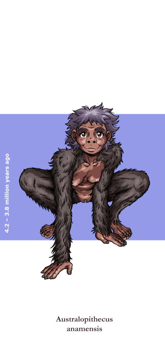 [Madoc] Indecent Descent - Viva La Evolucion! (Updated 12/02/2025)