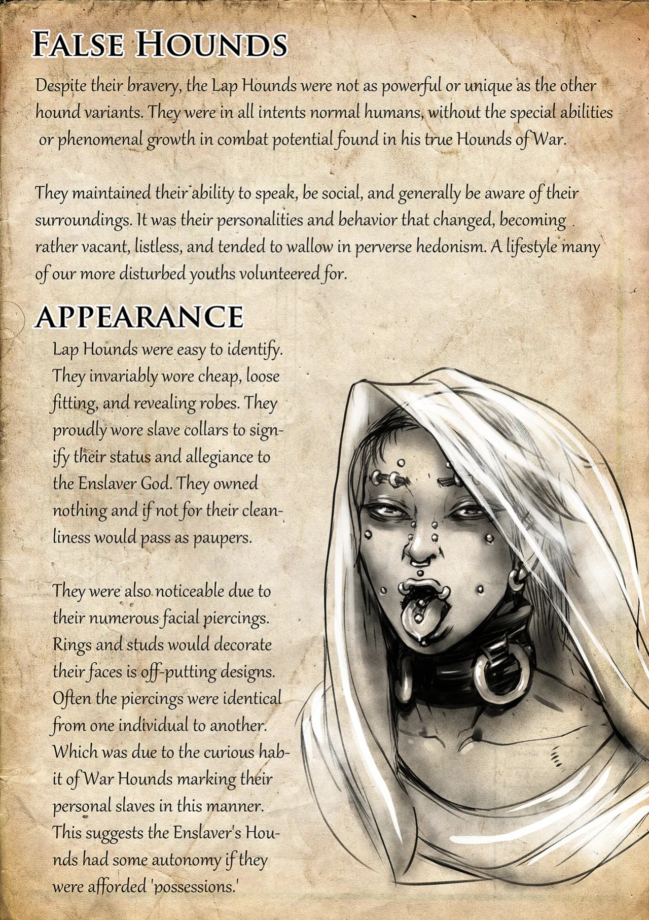 [Groz] Warden Lore and Concepts