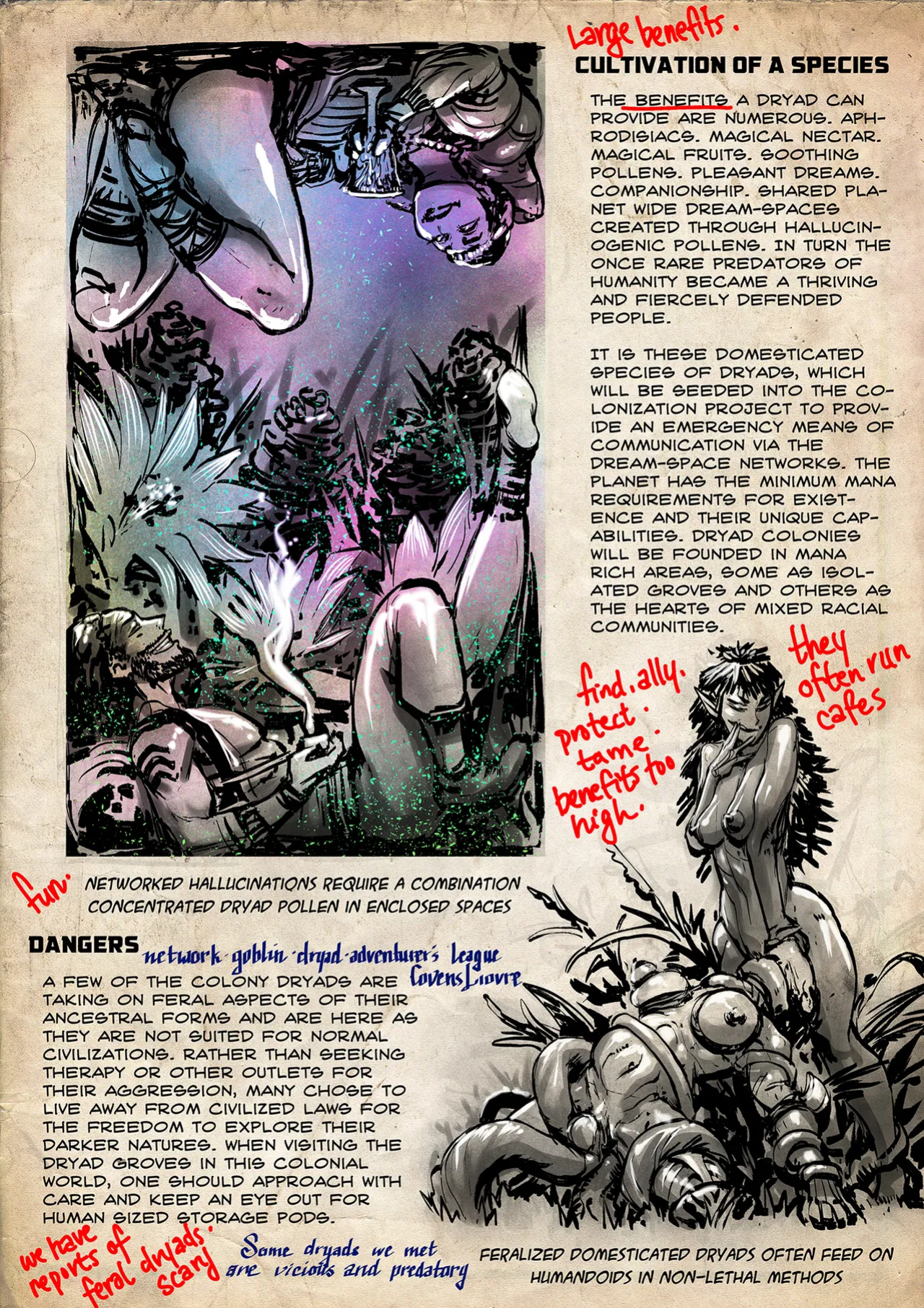 [Groz] Warden Lore and Concepts