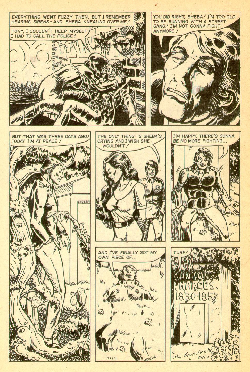 50's Funnies