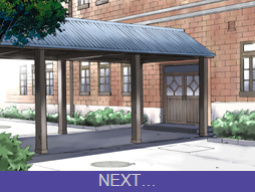 [ACTIVA (SMAC)] R-Otome Personal ~Akane Onosaka~ [SaLamiLid]