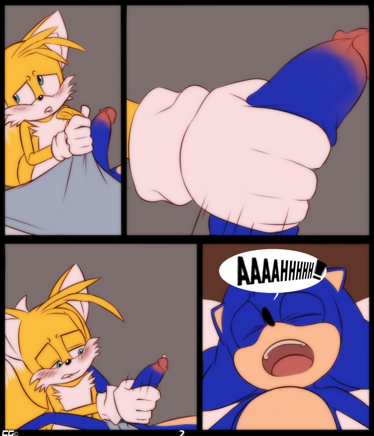 [CrazedG] Curious Fox (Sonic The Hedgehog)