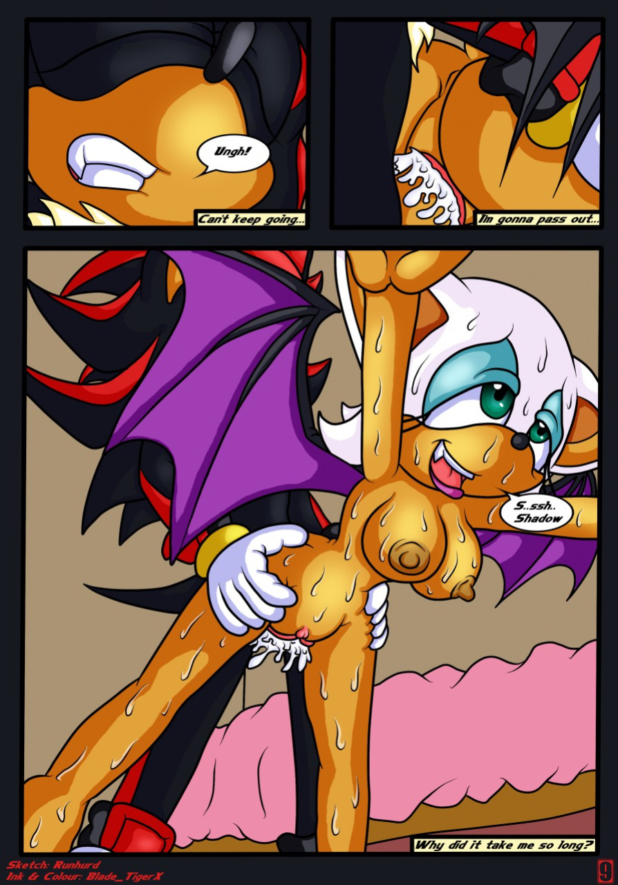 [Bladetigerx & Runhurd] Shadow of Love (Sonic The Hedgehog)