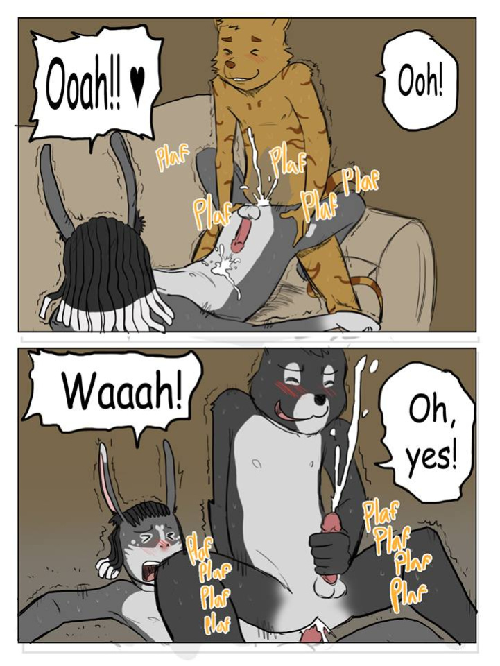 [Tolok] A night in
