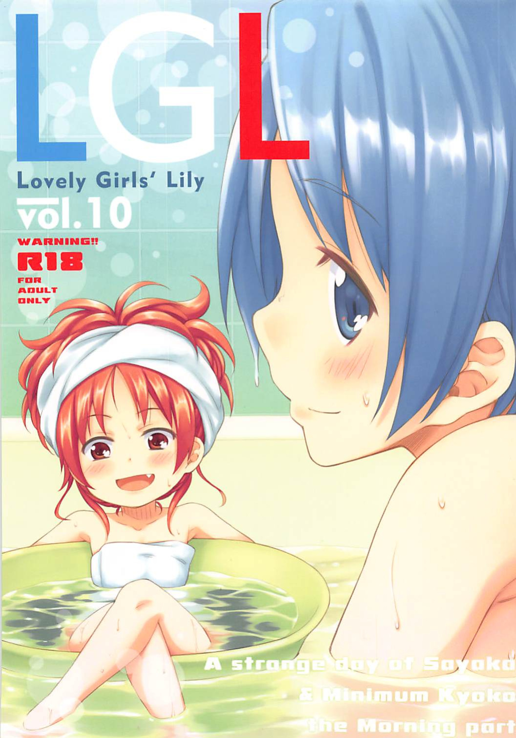 (C86) [Fukazume Kizoku (Amaro Tamaro)] Lovely Girls Lily vol.10 (Puella Magi Madoka Magica) [Wrecking Army]