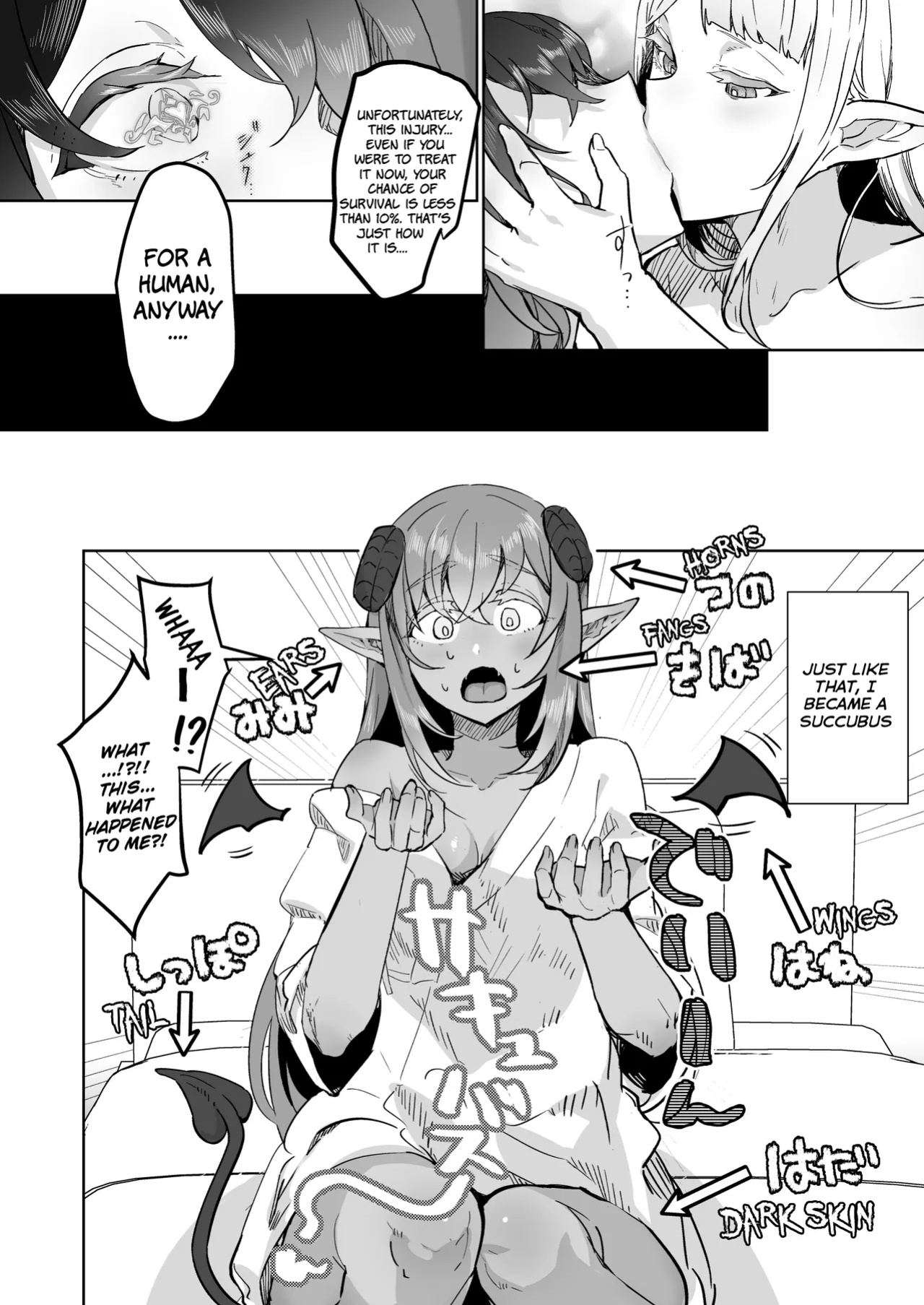 [Aburanabeshiki (puru)] Futanari Chiryou Succubus Clinic Zero ~Succubus Kenshuu Choukyou Hen~