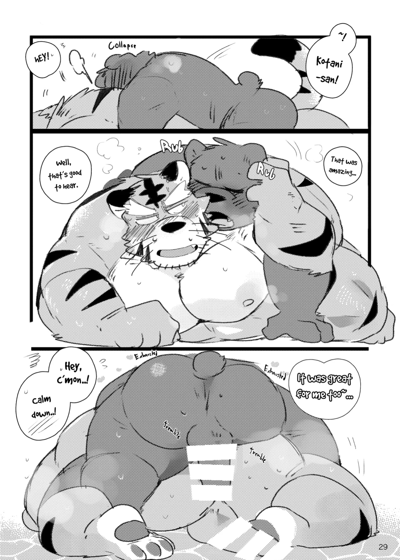 a book about getting lovey dovey with an old tiger with kansai accent in a public bathouse