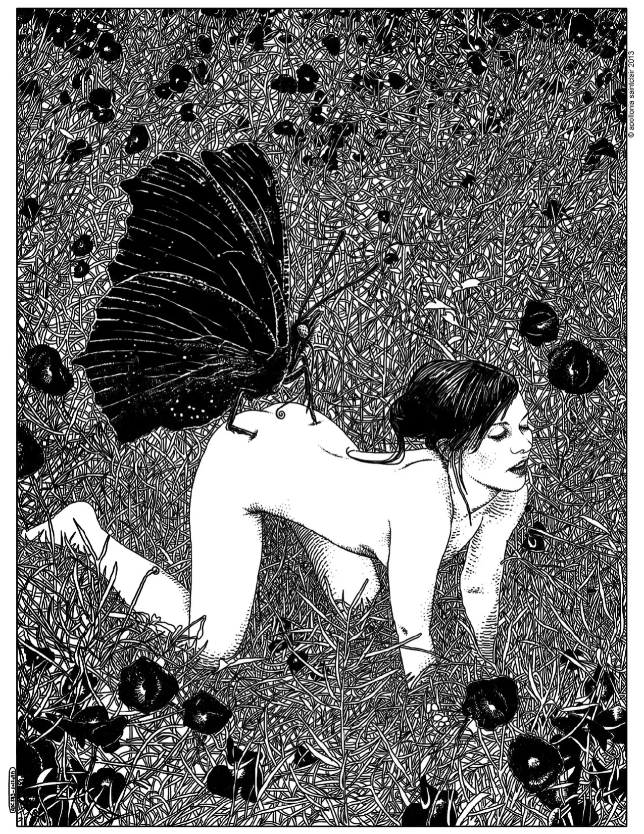 Erotique- Apollonia Saintclair