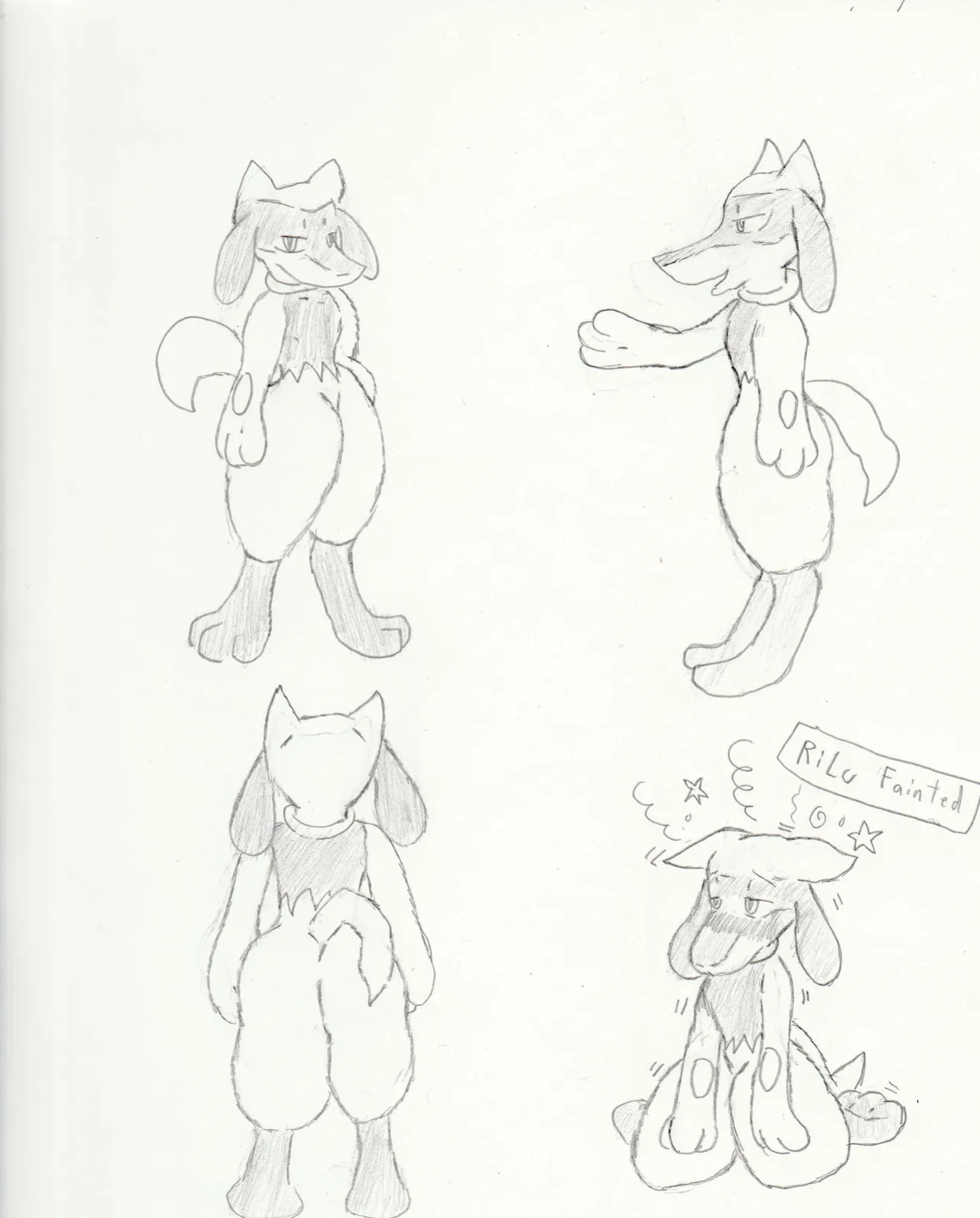 [FoolyFox] Pokemon Team