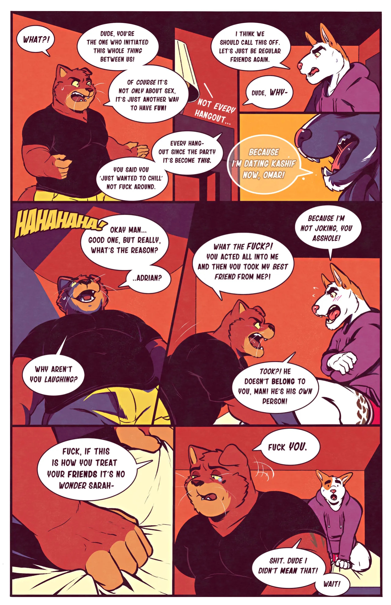 [Captain Nikko] Bodega Cat
