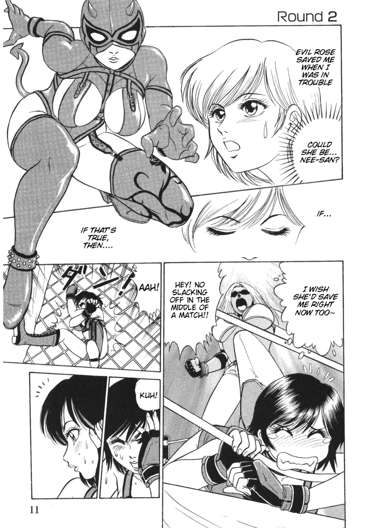 Rumble Roses Anthology (Tigoris Translates)