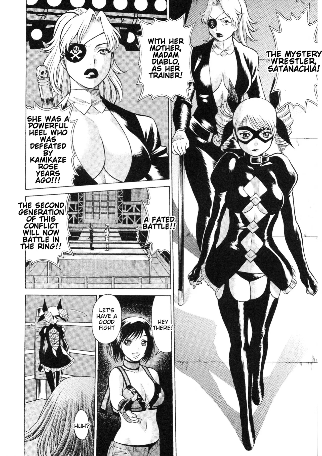 Rumble Roses Anthology (Tigoris Translates)