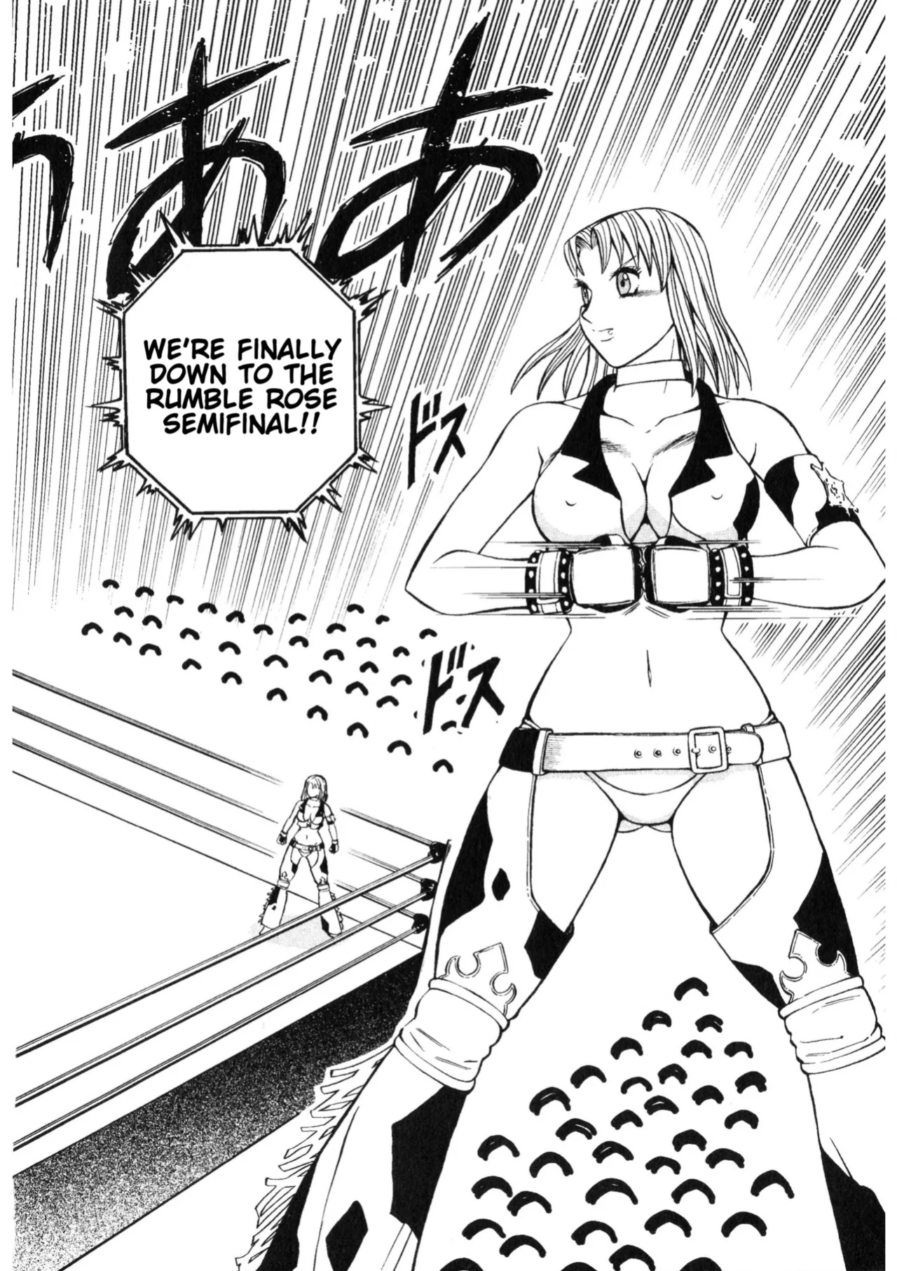 Rumble Roses Anthology (Tigoris Translates)