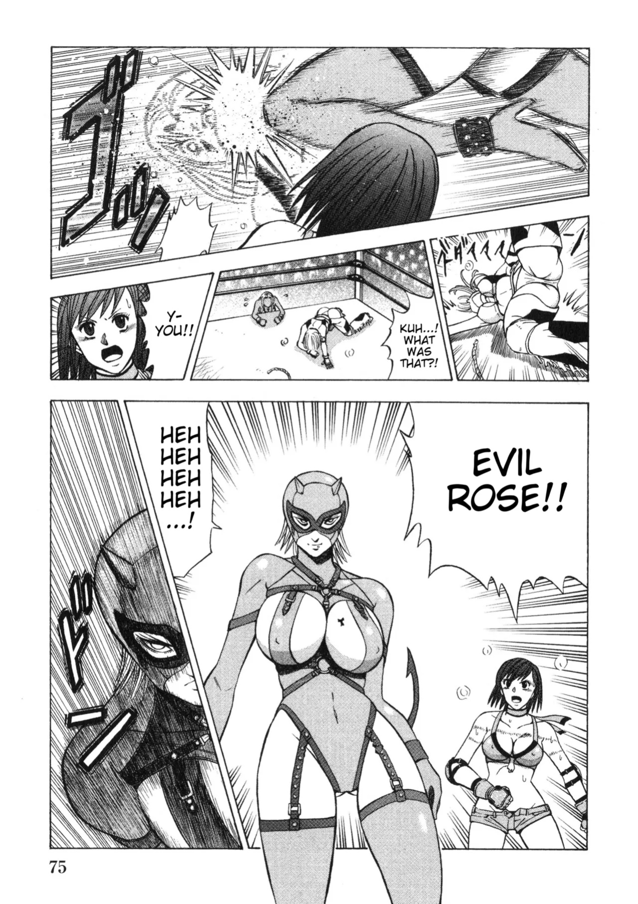 Rumble Roses Anthology (Tigoris Translates)