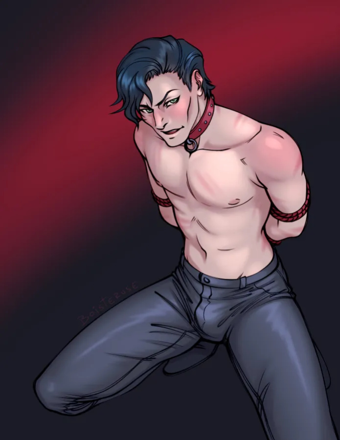 Boisteruse Fire Emblem (Paid not included)