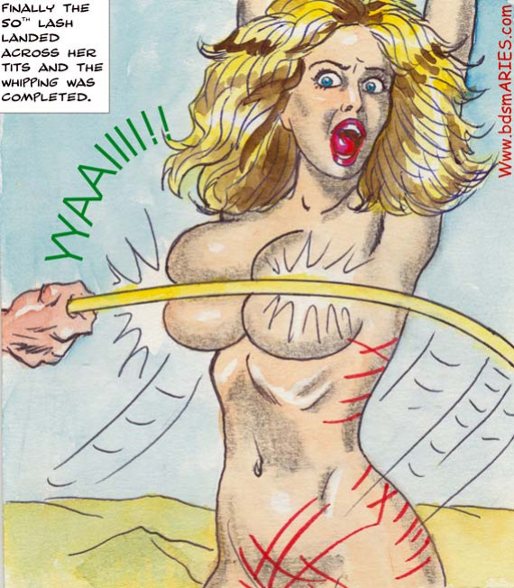 Aries BDSM, Torture Mix