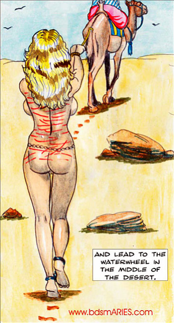 Aries BDSM, Torture Mix