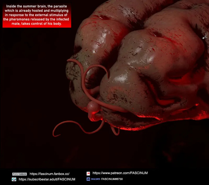 [Fascinum] Parasite (Full Series)