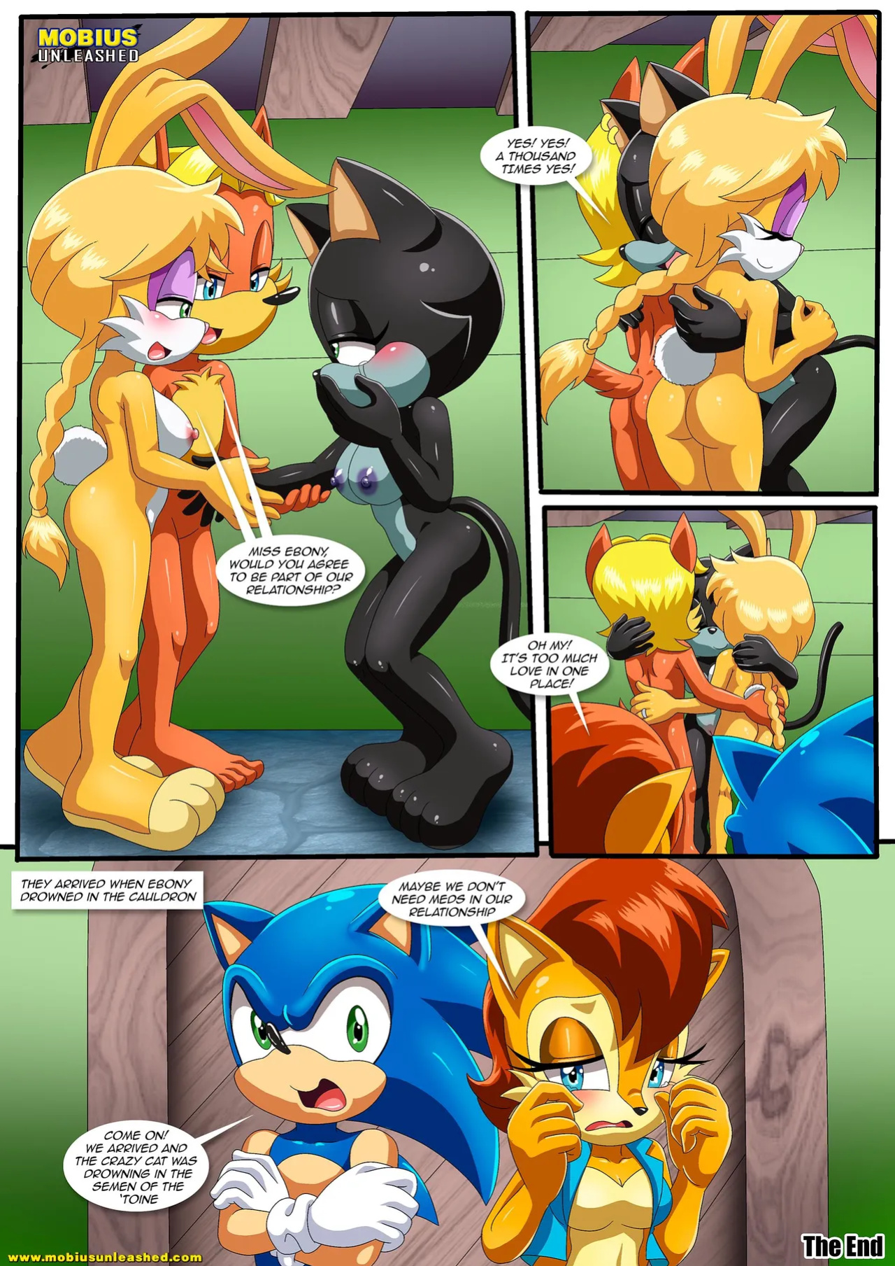 [Palcomix] How Many Times Per Day (Sonic The Hedgehog)