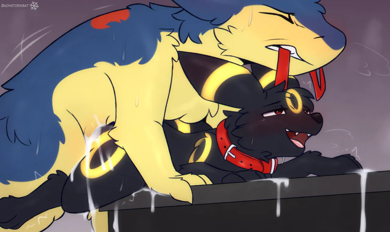 [SnowStormBat]Umbreon and Typhlosion