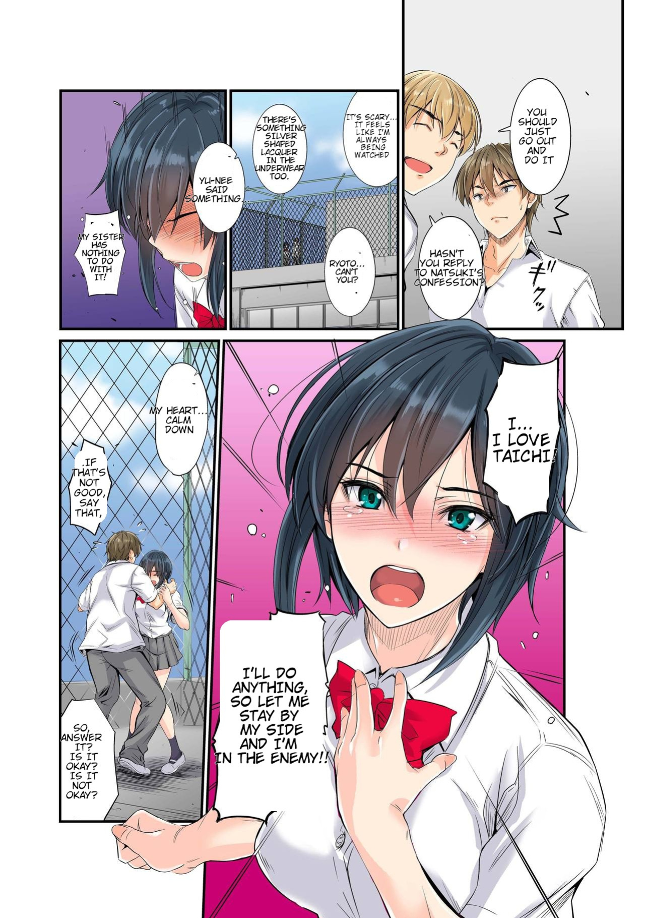 [DM-FC (Mutsuki)] Netorareta Osananajimi Shimai