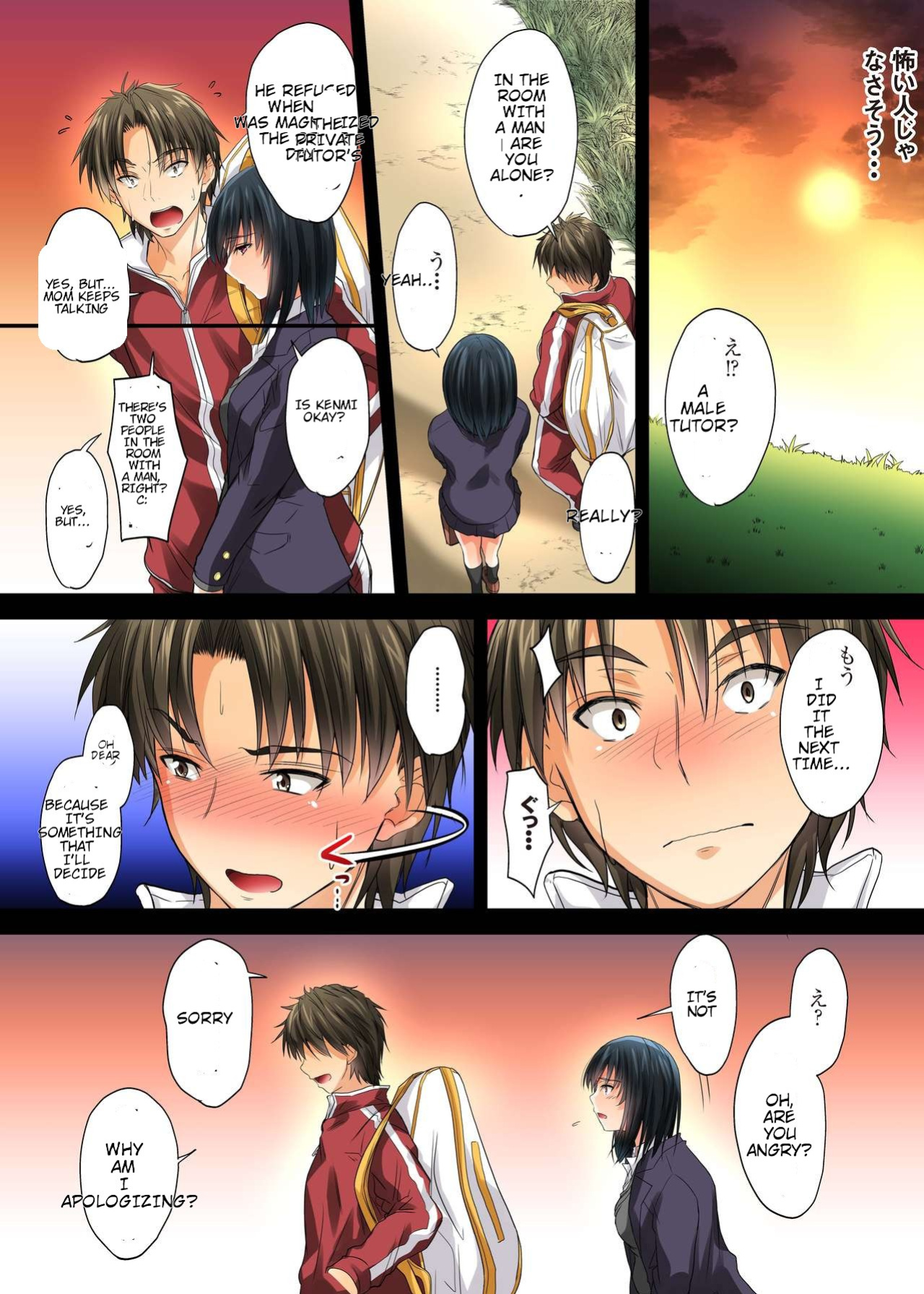 [DM-FC (Mutsuki)] Netorareta Osananajimi Shimai