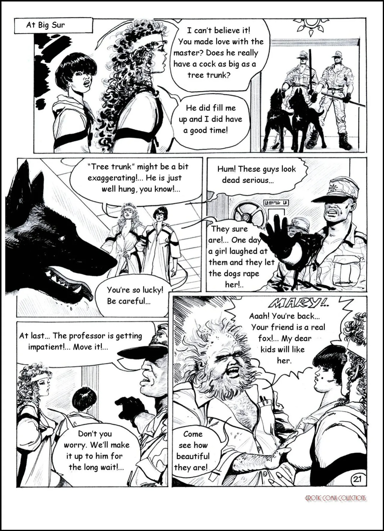 [Bédé Adult 278] Pierre Dupuis - Picabo : Strip