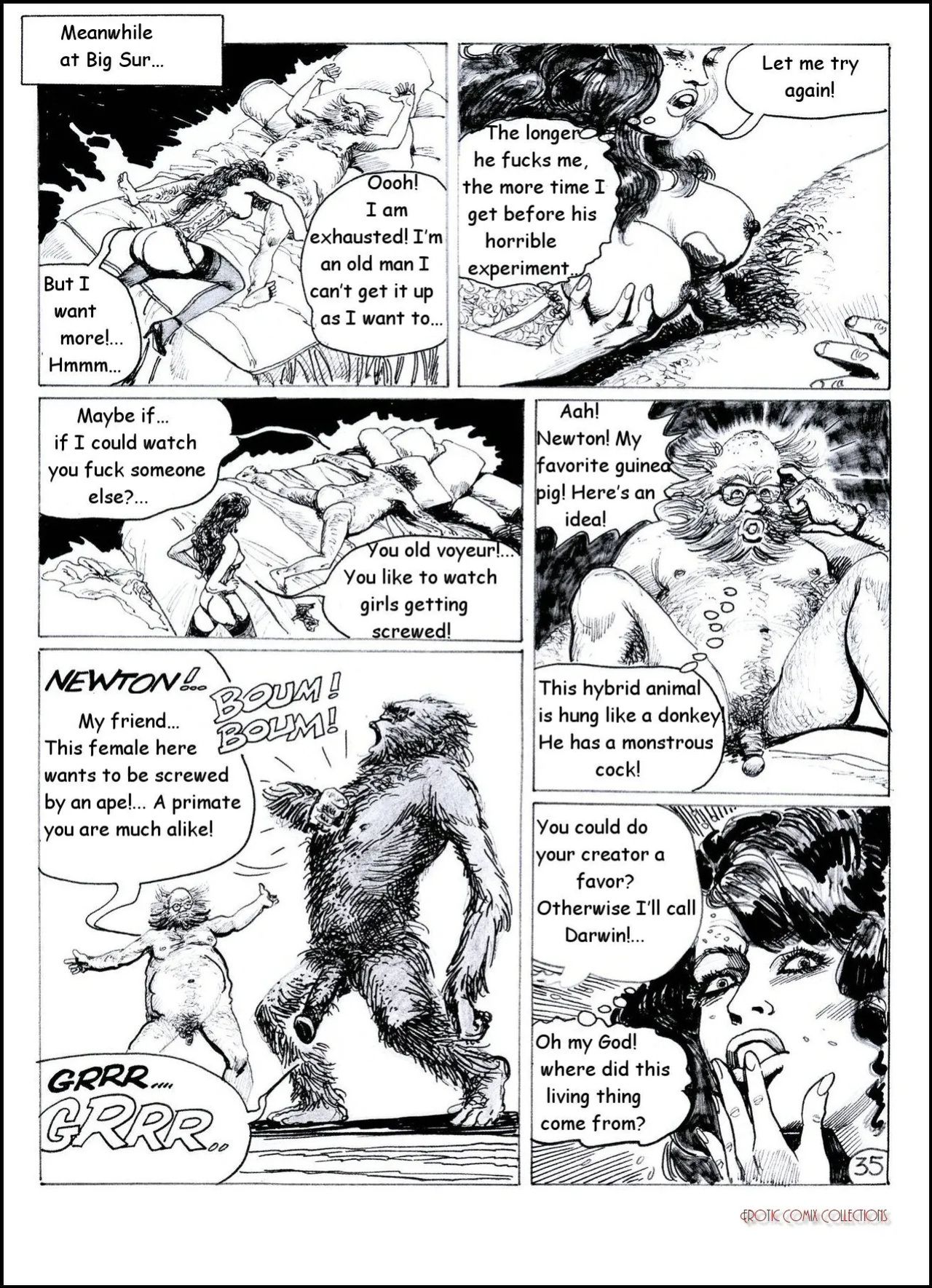 [Bédé Adult 278] Pierre Dupuis - Picabo : Strip