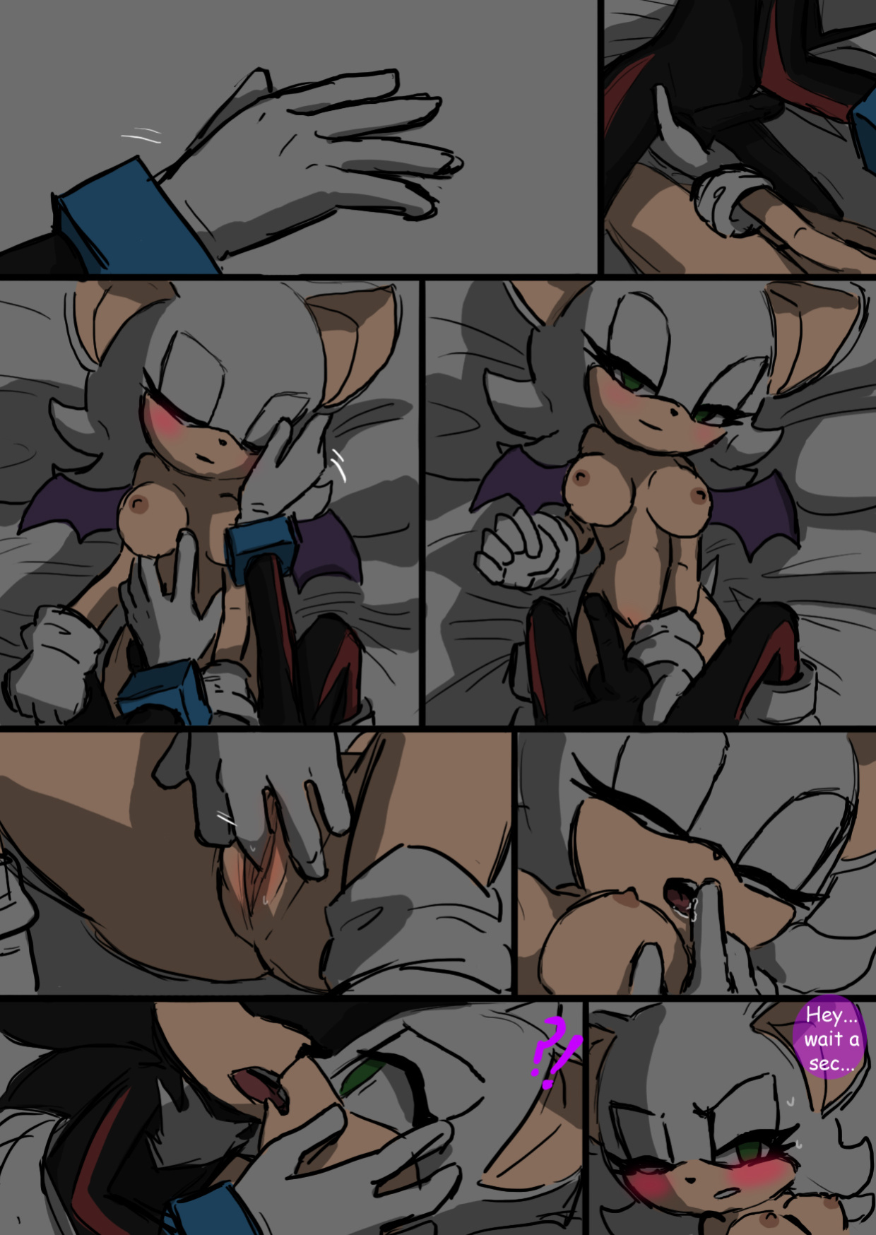 [SonicCake] Shadow's Stuff (Sonic the Hedgehog)