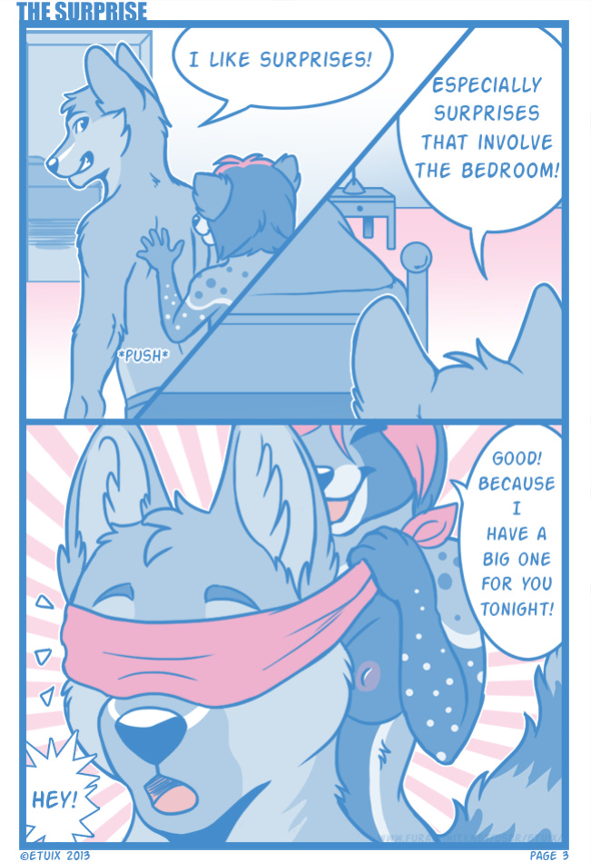 [Etuix] The Surprise