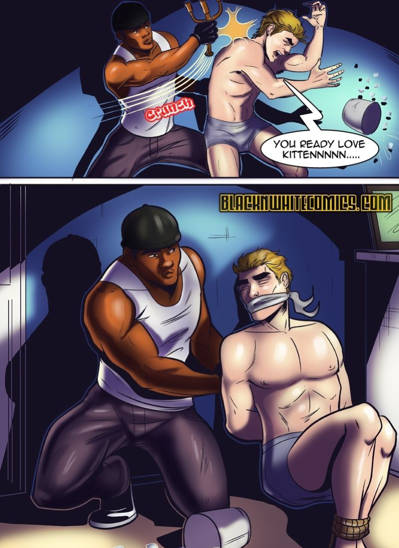 The Burglar