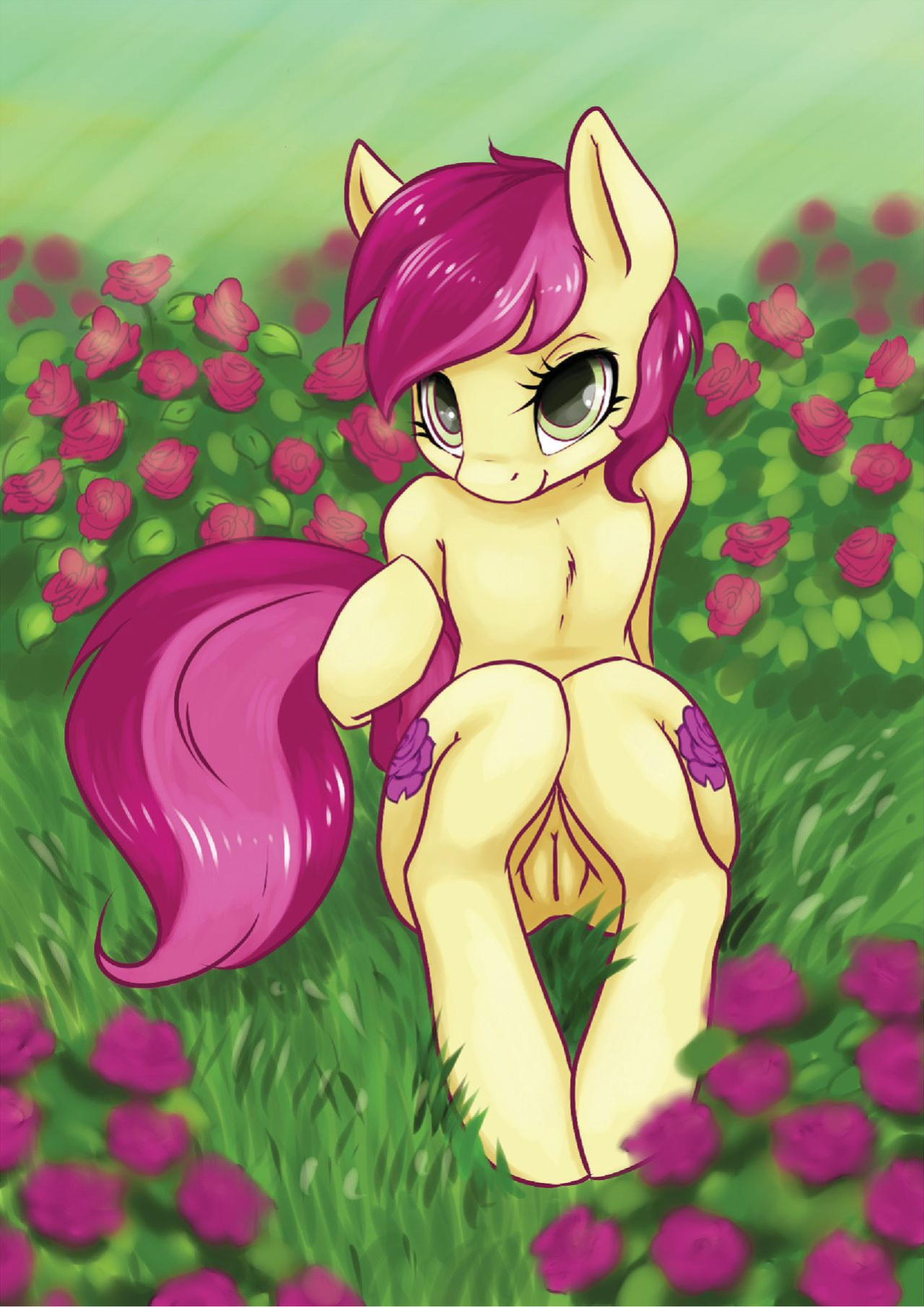 PlayPony - Summer 2013