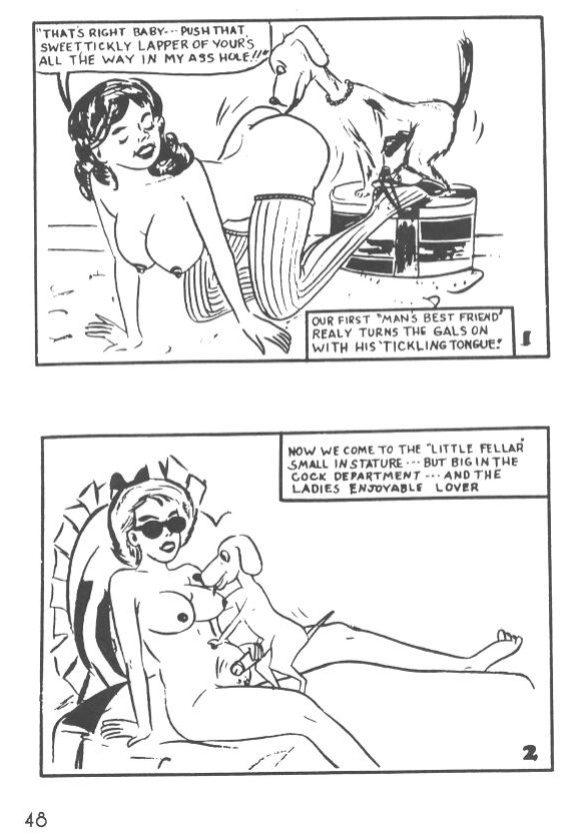 The Tijuana Bibles