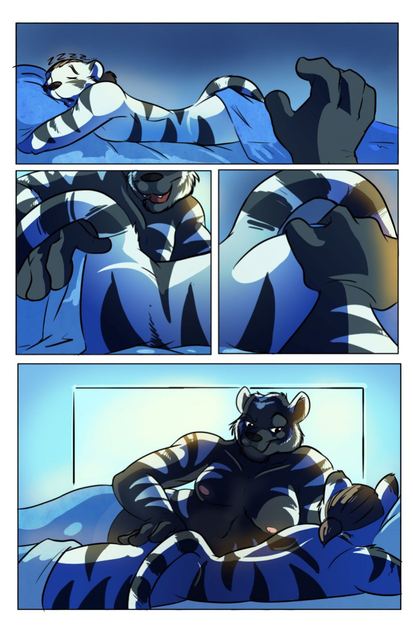 [Donryu] Morning Wood