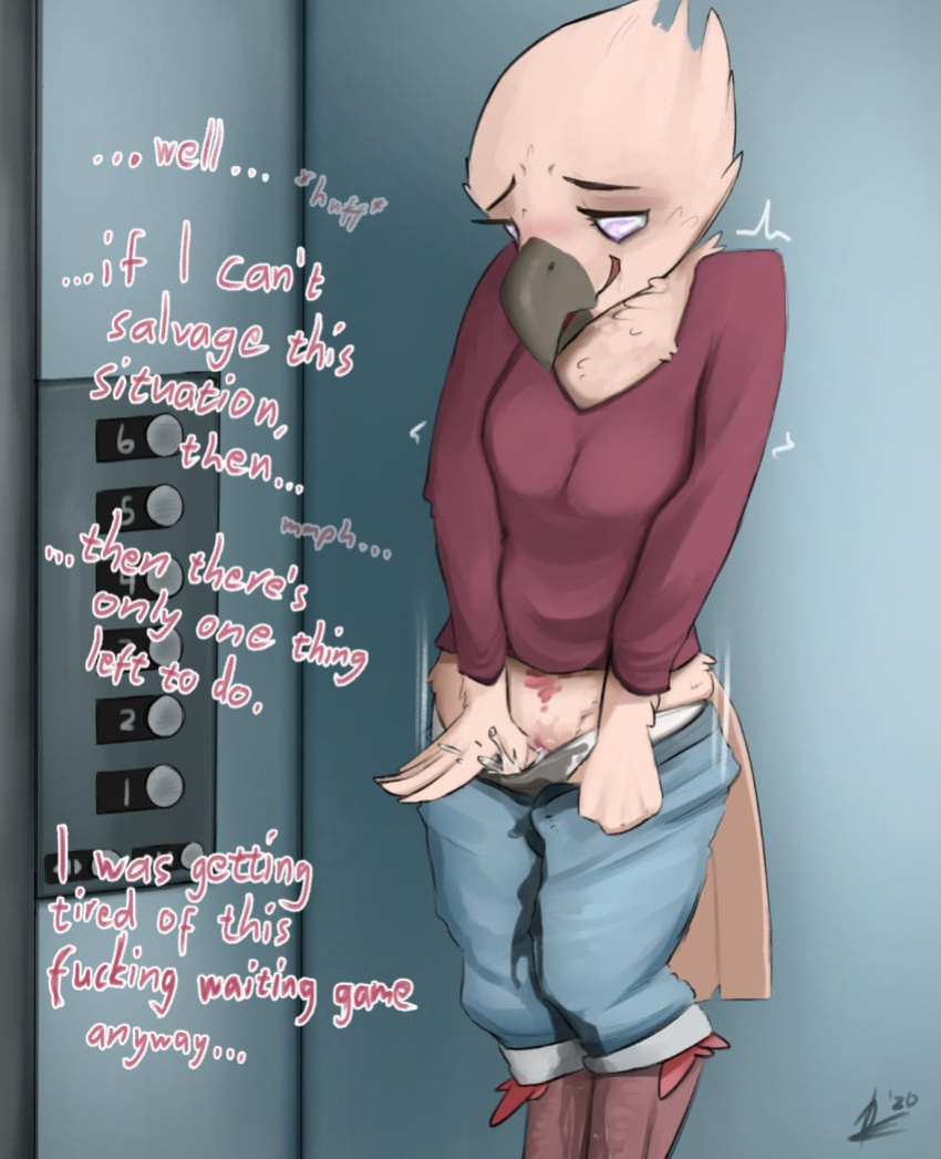 Dumb Dumb Elevator