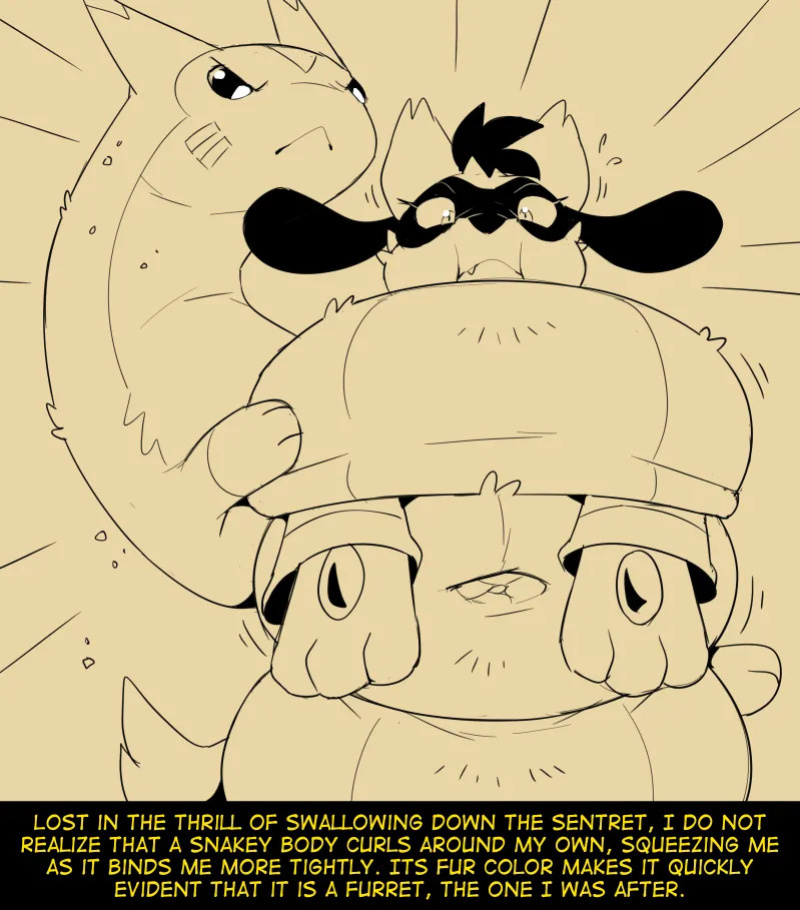 [Fidchell] Hildegard's Quest for Aura - Sentret/Furret (19)