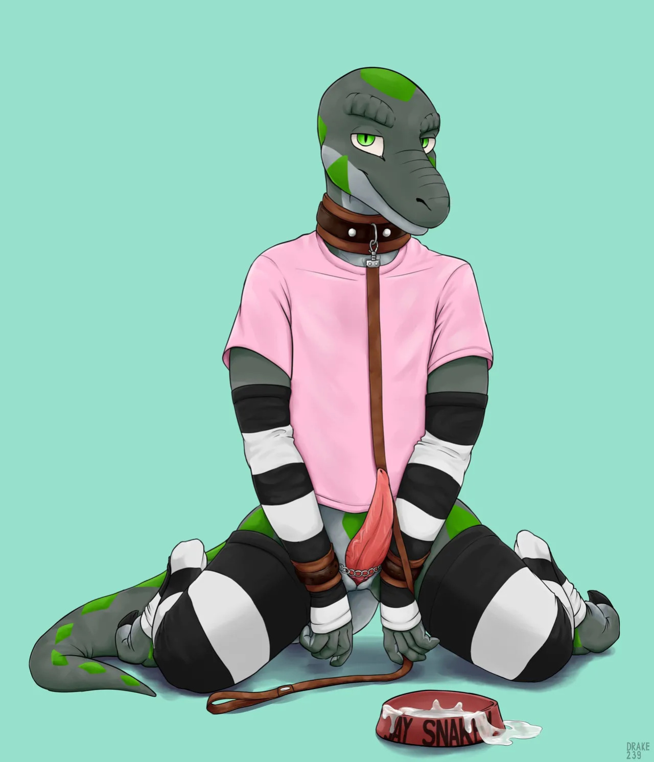 [Artist] Drake239