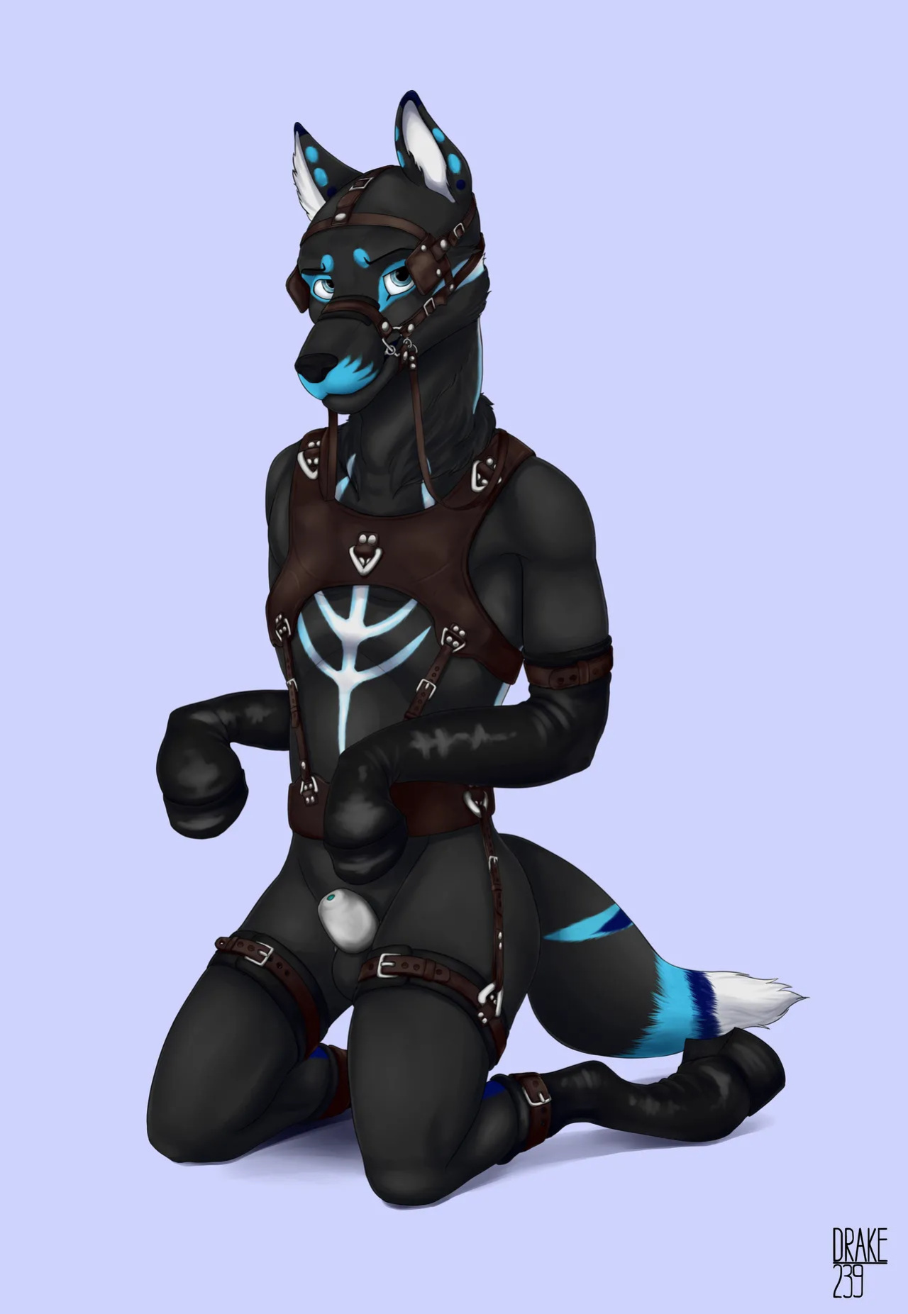 [Artist] Drake239