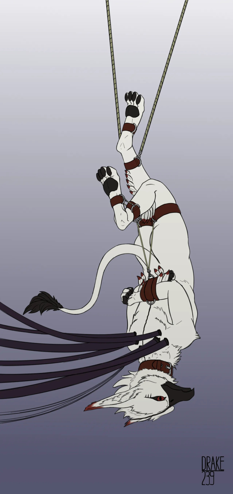 [Artist] Drake239