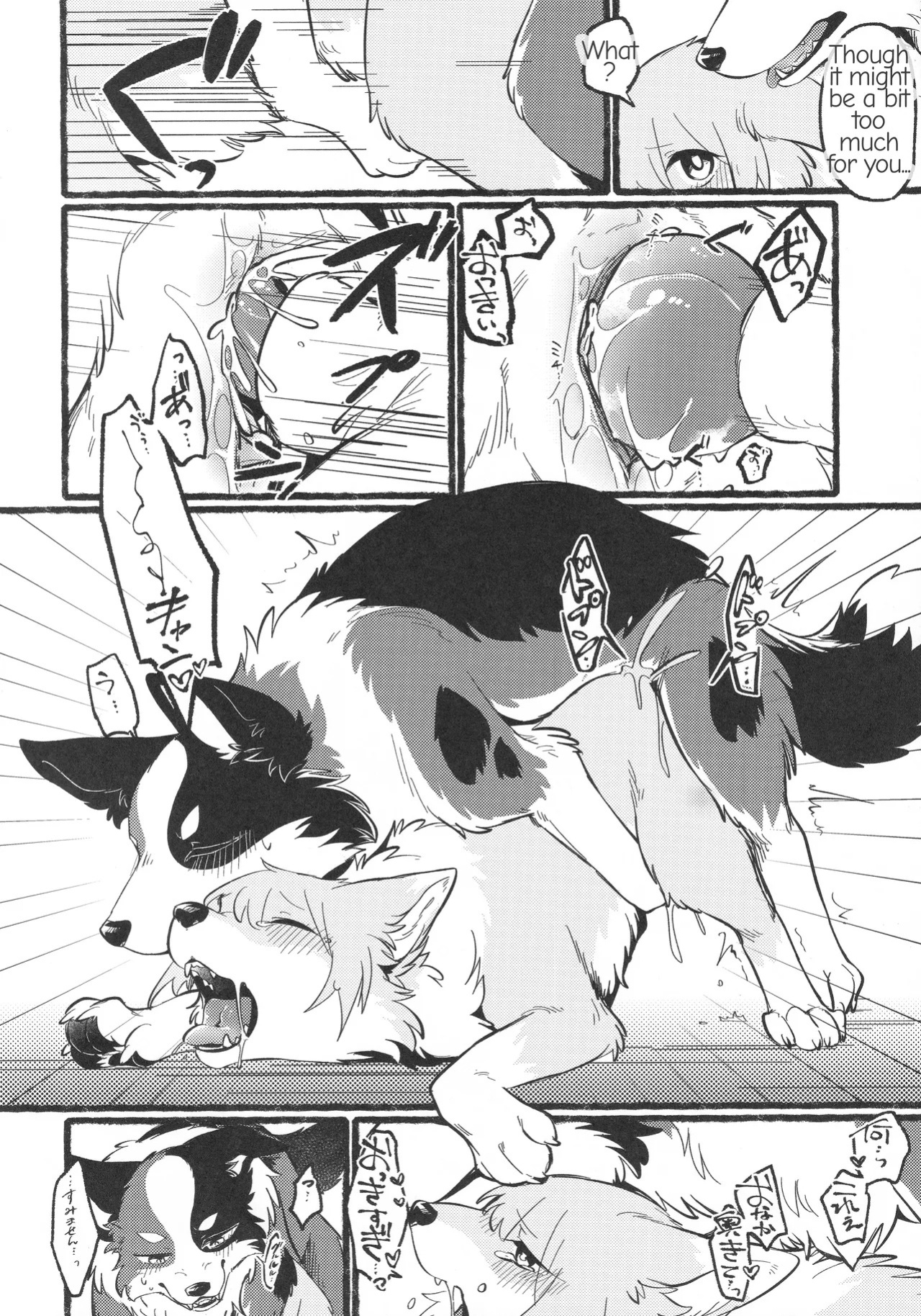 [Eng](Kemoket 16)[Bakashi-Tei] Refrain Refresh