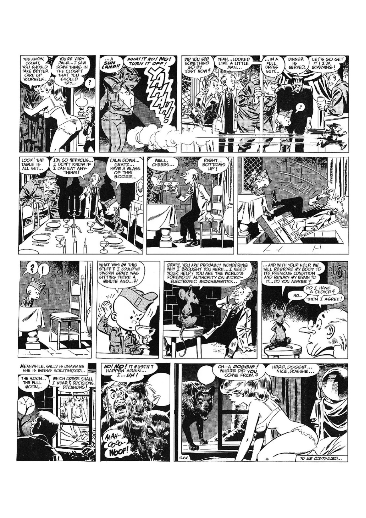 [Wallace Wood] The Complete Sally Forth [English]
