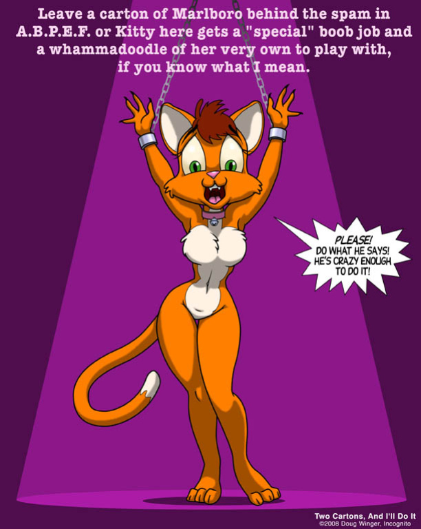 Furnication - Doug Winger's Archive