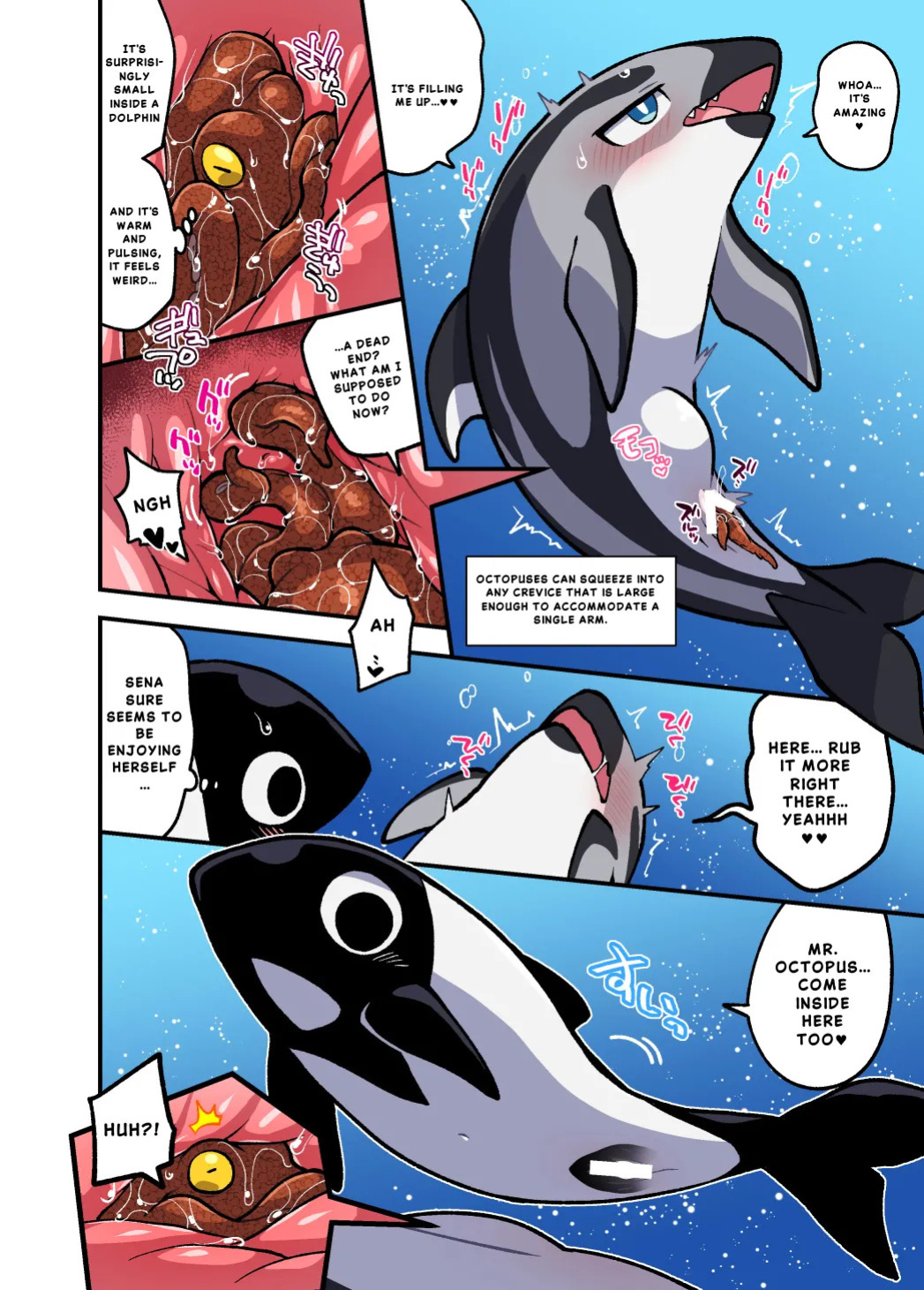 [Ika Guerrilla (Kageyama)] Dokidoki Suizokukan [English]